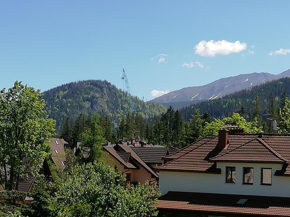 Arnika Wynajem Pokoi Apartamento Zakopane Exterior foto